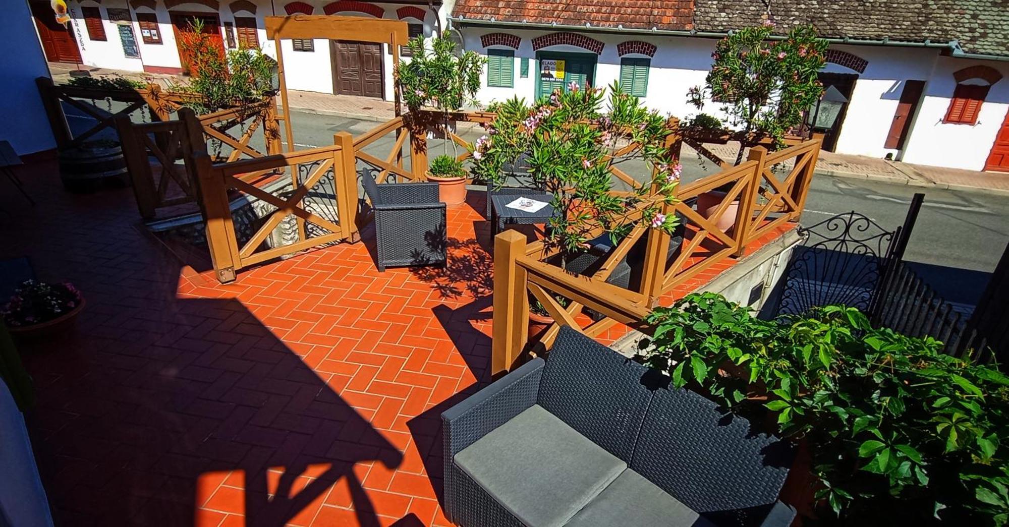 Guest house Vitenyi Pince Vendeghaz Villany